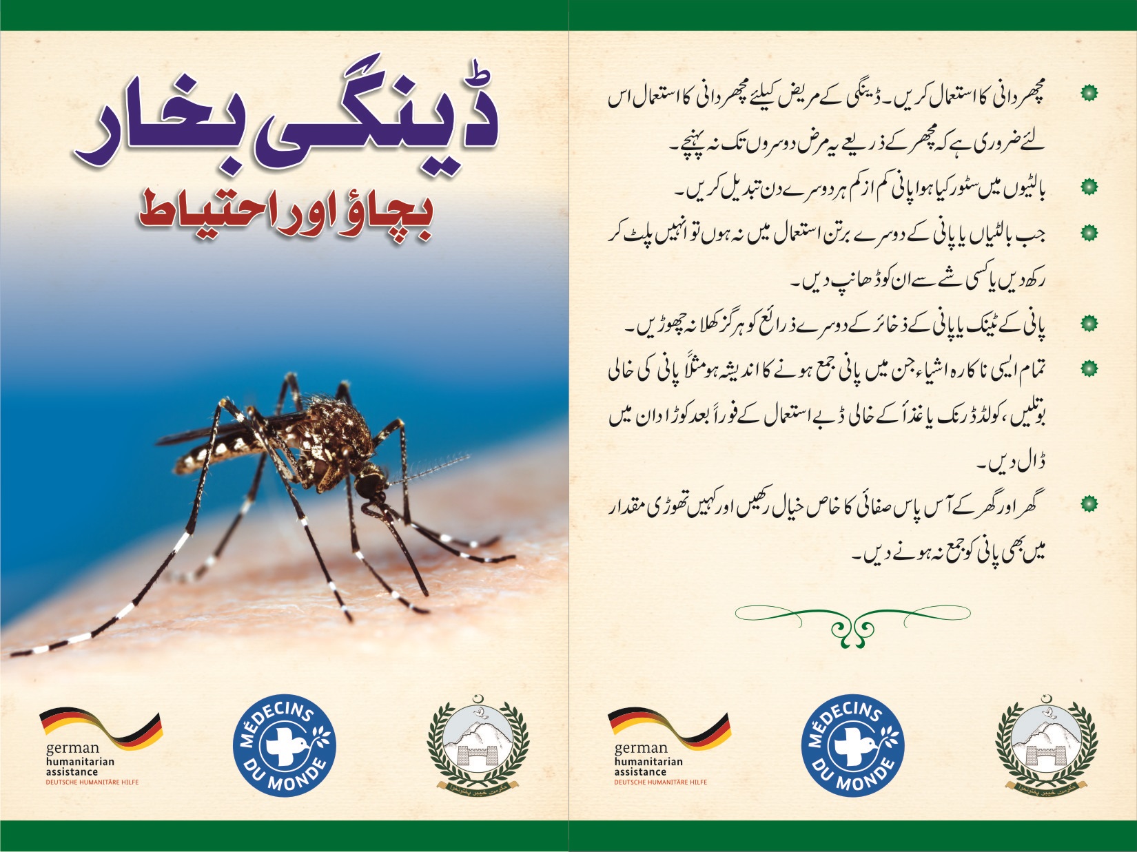 Dengue Prevention Program